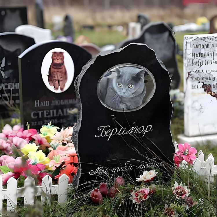 Кои опции за прилагодување ги зголемуваат спомен -плакетите за миленичиња над основните имиња?